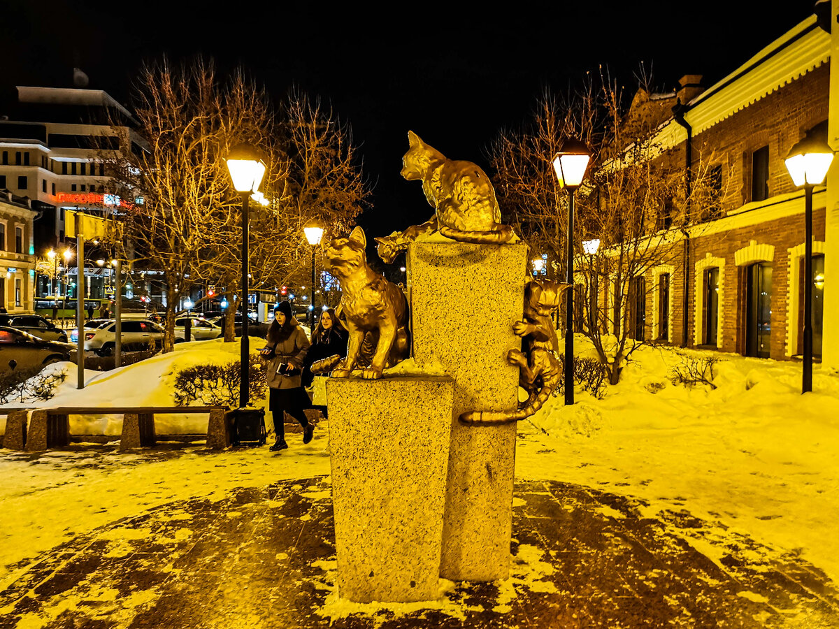 Один из памятников кошкам.