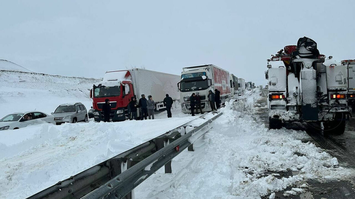     Настоящее стихийное бедствие в виде обильного снегопада обрушилось на Ростовскую область. На трассе М-4 «Дон» образовалась огромная пробка, которую удалось сократить до 30 км, по словам губернатора Василия Голубева. Волгоградцы с ужасом ждут, что снежный ад может дойти и до нашего региона.