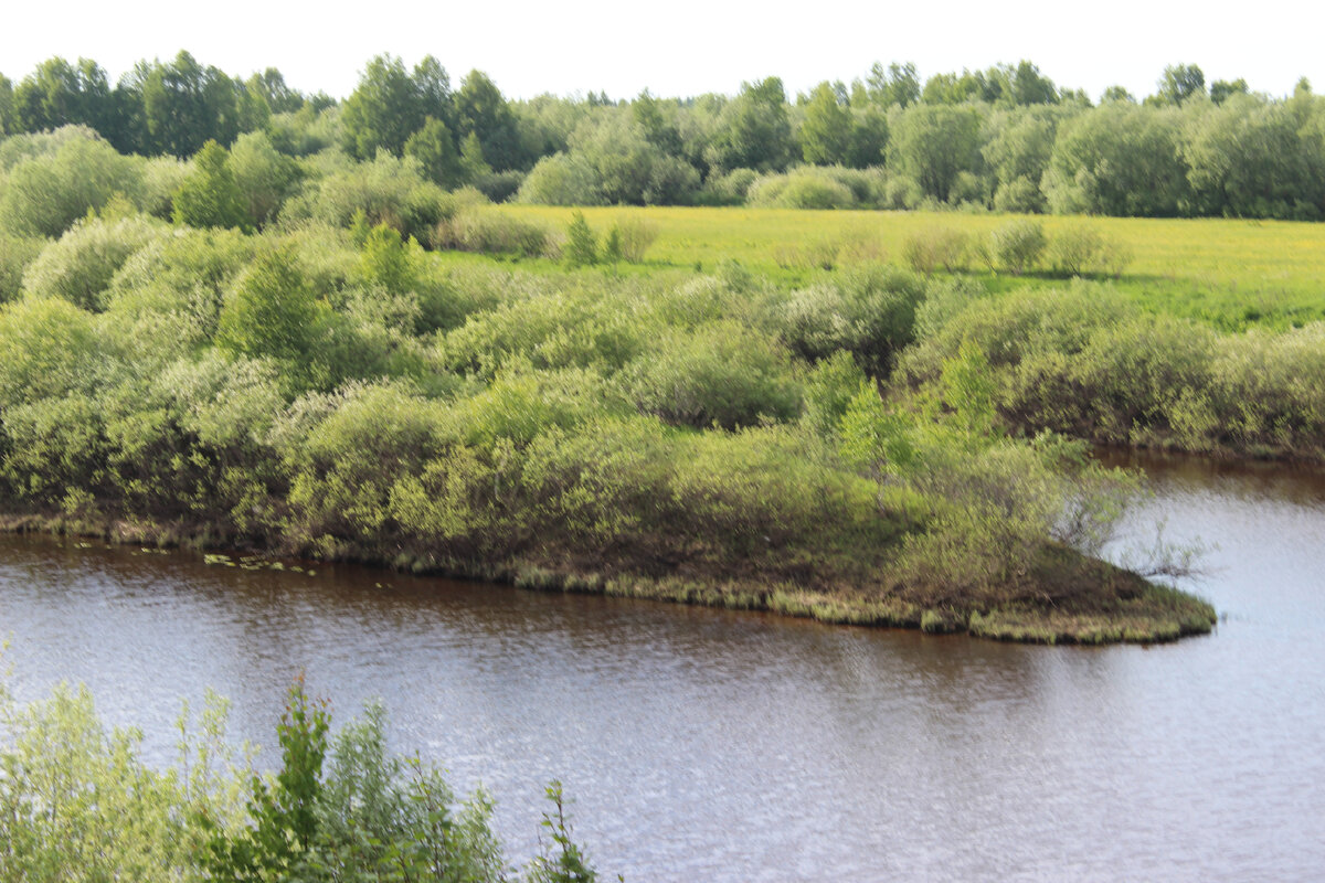 Живописная Усть-Кожва