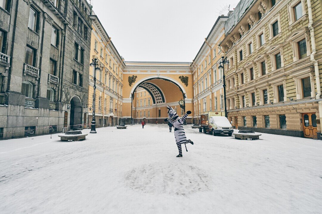    Фото: Dmitrii Iakimov / Shutterstock.com