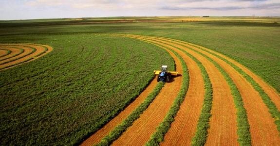    Олигархи сдают русскую землю Украины американским ТНК