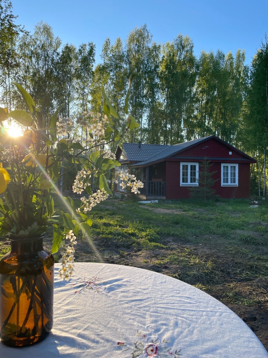 Вид на домик в дневное время