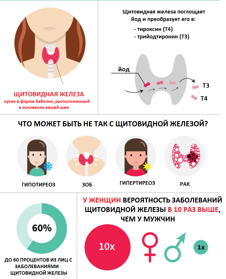 Как жить без щитовидной железы. Заболевания щитовидки. Нарушение щитовидной железы. Здоровая щитовидная железа. Щитовидная железа здоровая и больная.