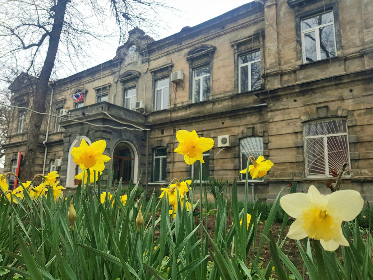 Вам знакомо это здание? А это один из символов Керчи. Фото Анны Карпенко.  