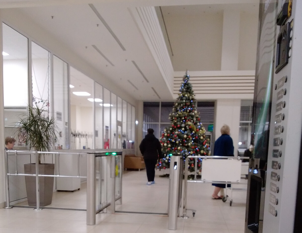 фото автора декабрь 2022г.