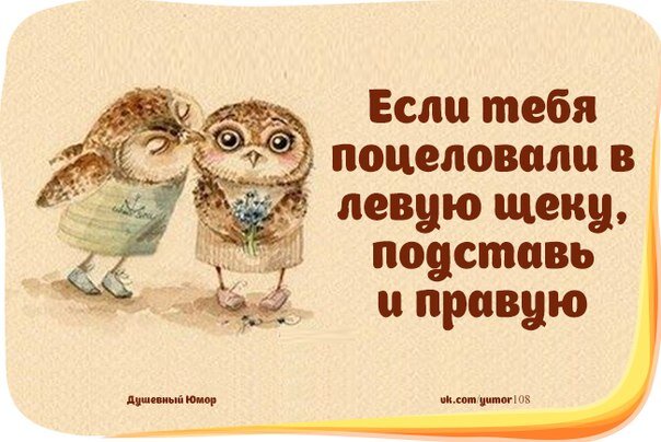 С просторов сети