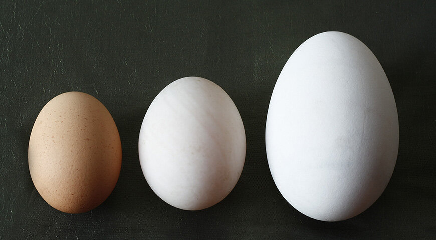 Какие яйца лучше купить. Лучший сорт яиц. Диетические яйца. Диетические яйца вид яиц. Яйца 3 категории.