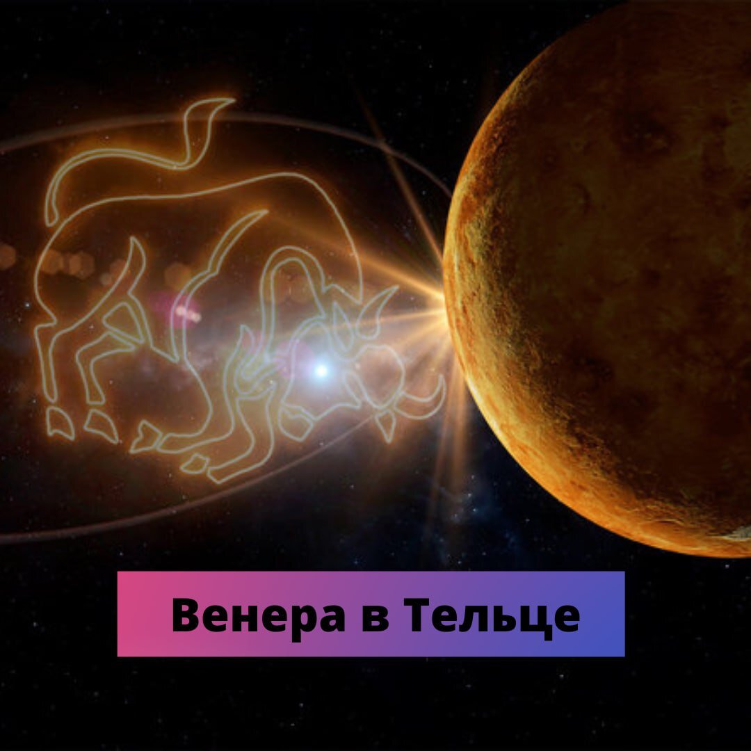 Телец в венере