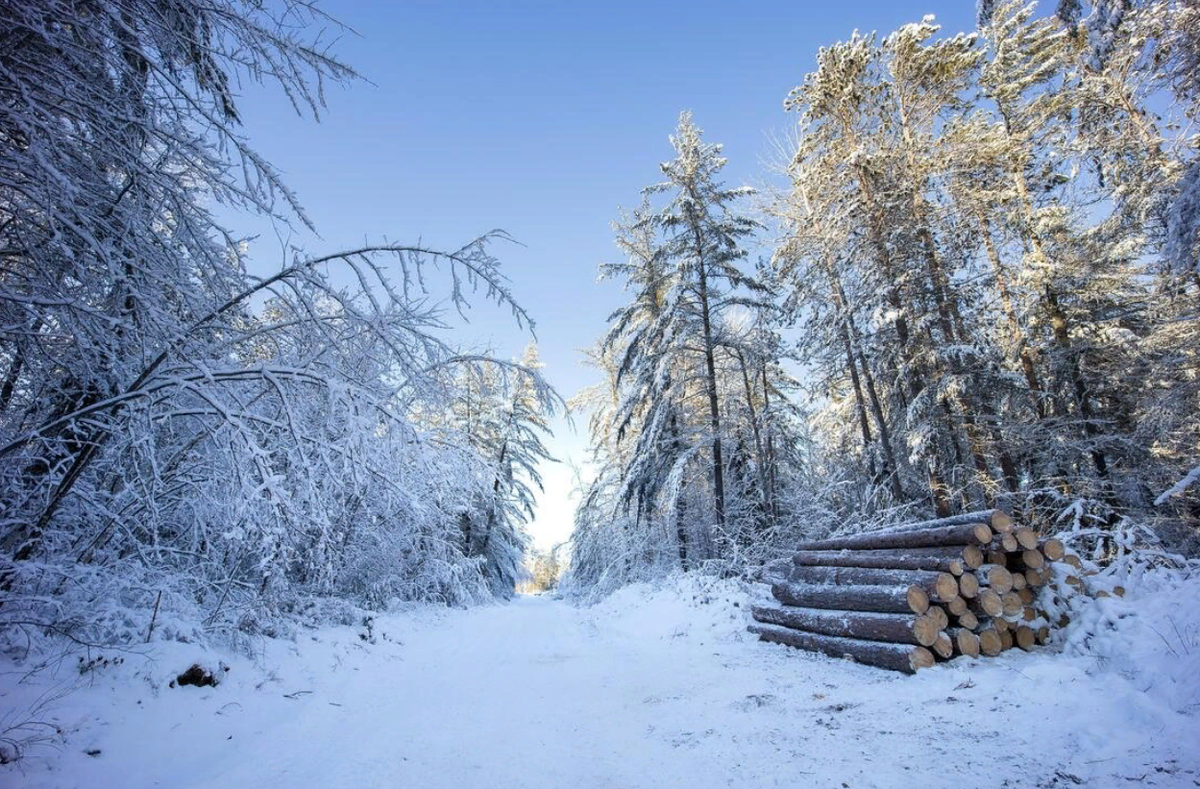 Вывоз мебели из финляндии