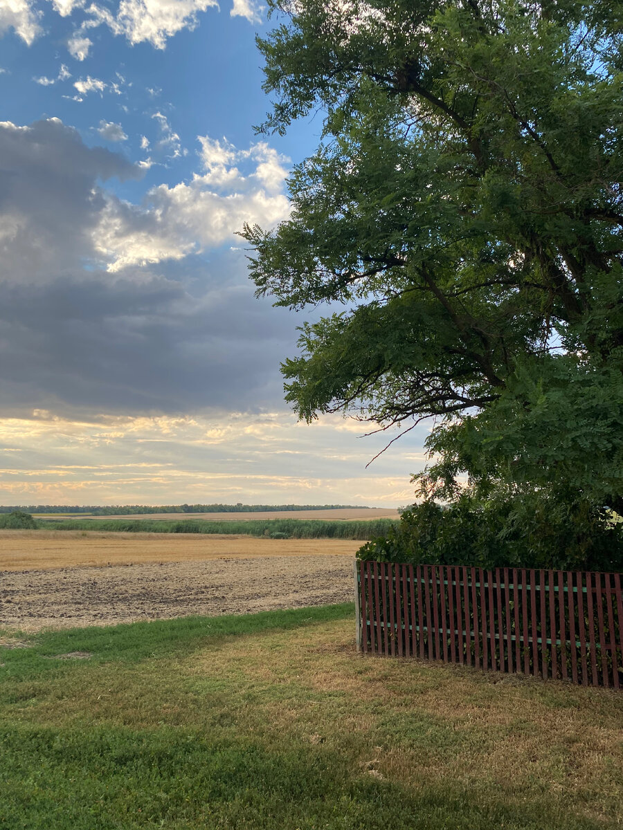 Бескрайние поля Кубани