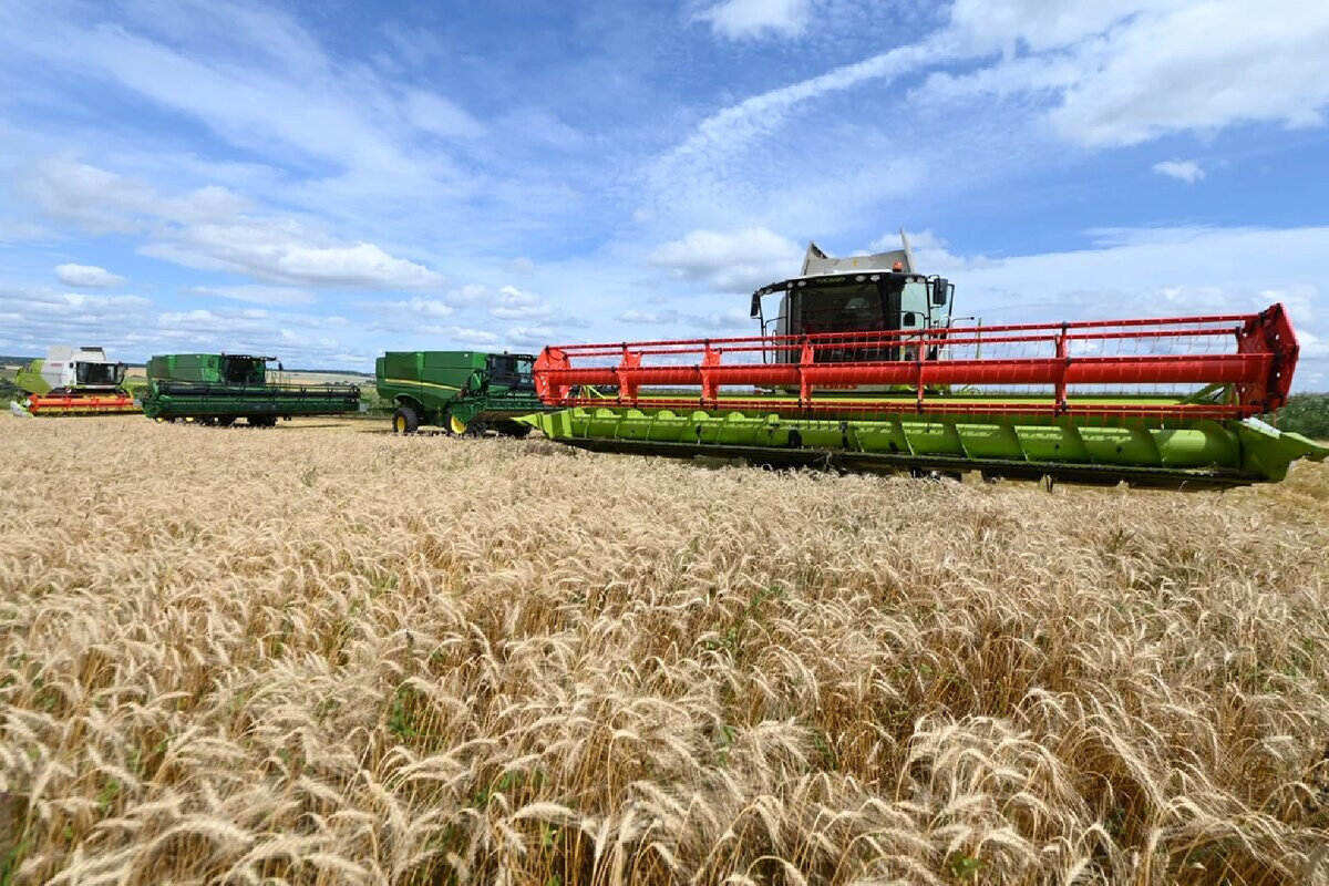   Фото: пресс-служба губернатора и правительства МО