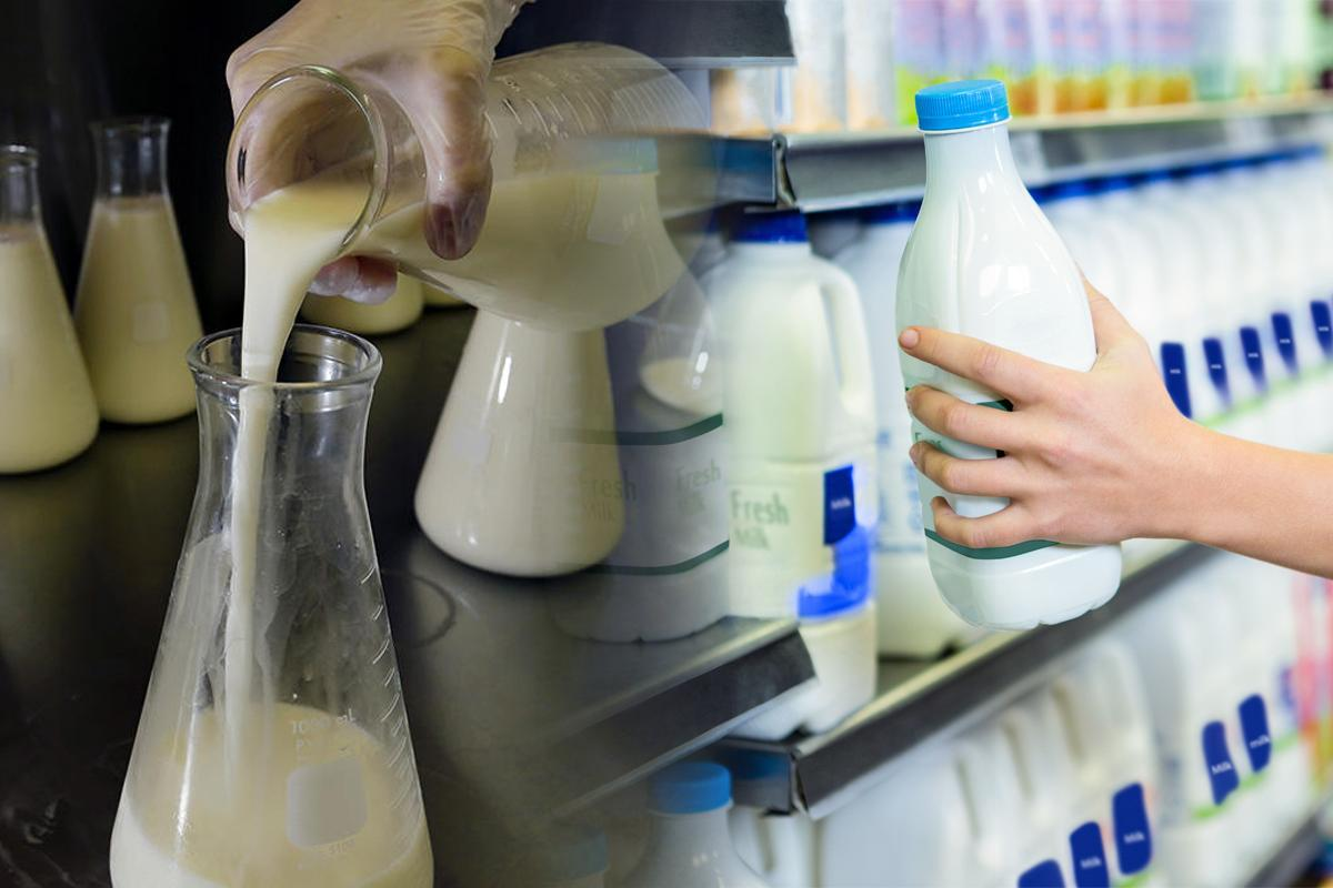 Молочные продукты. Натуральное молоко. Химия молока и молочных продуктов. Натуральные молочные продукты.