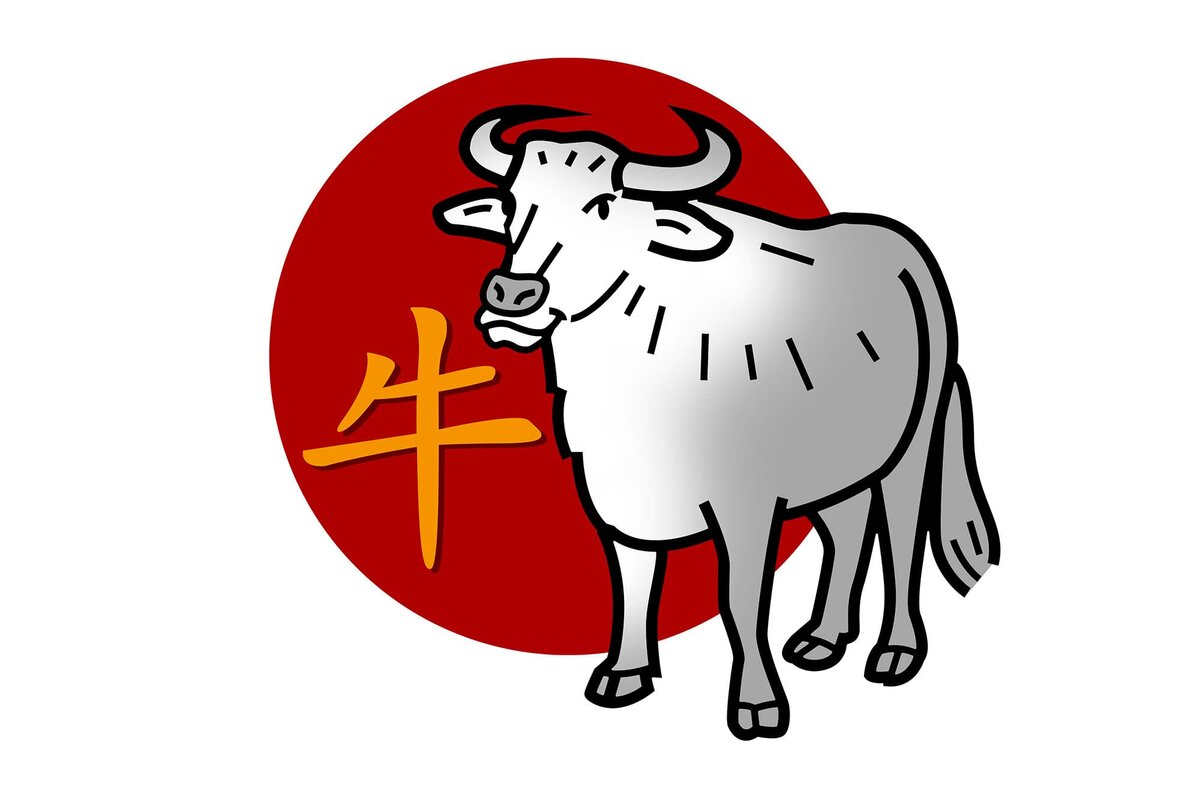 Знак быка. Китайский бык. Год быка знак. Китайский знак быка. Год бика