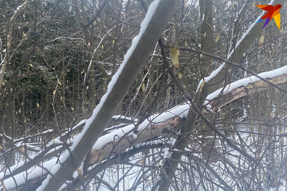     День Захария отмечают 6 апреля - собрали приметы и запреты. Фото: архив «КП»