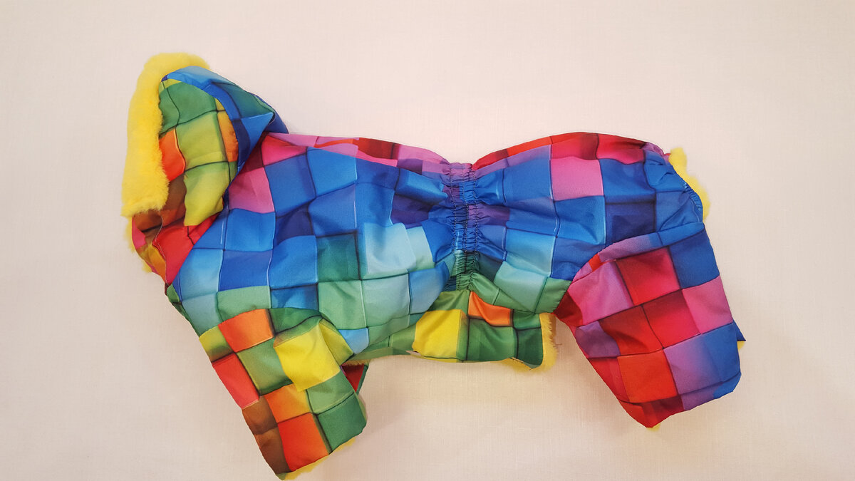 Комбинезон для собаки цветной