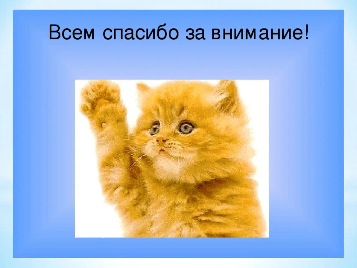 Проект все было понятно. Спасибо за внимание. Спасибо за внимание котик. В ответе за тех кого приручили. Котейка спасибо за внимание.