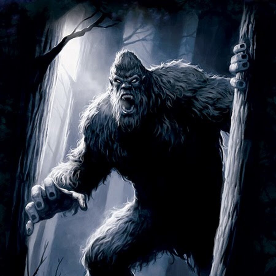 Менкв пришел из тайги на звуки вашего голоса (изображение из открытых источников)