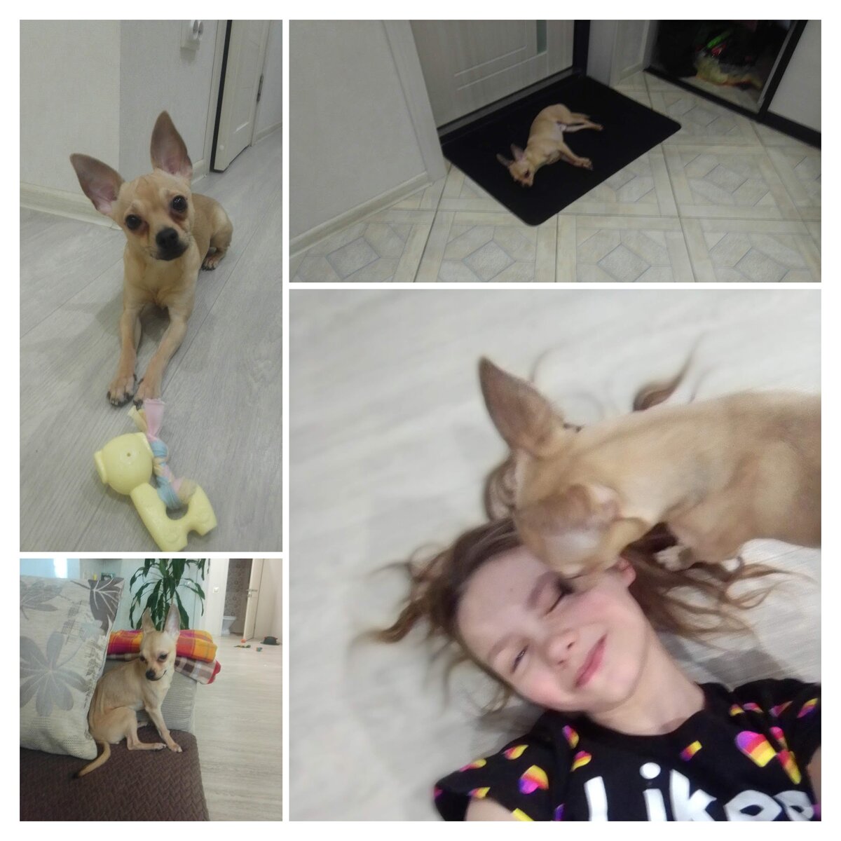 Надеюсь вы нас поддержите !!!