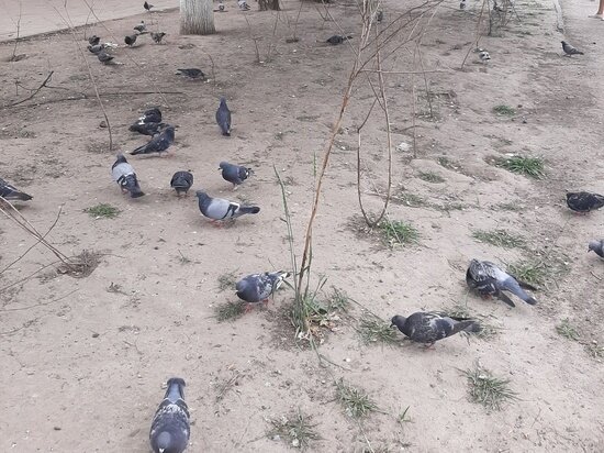     Фото: Елены Пожидаевой