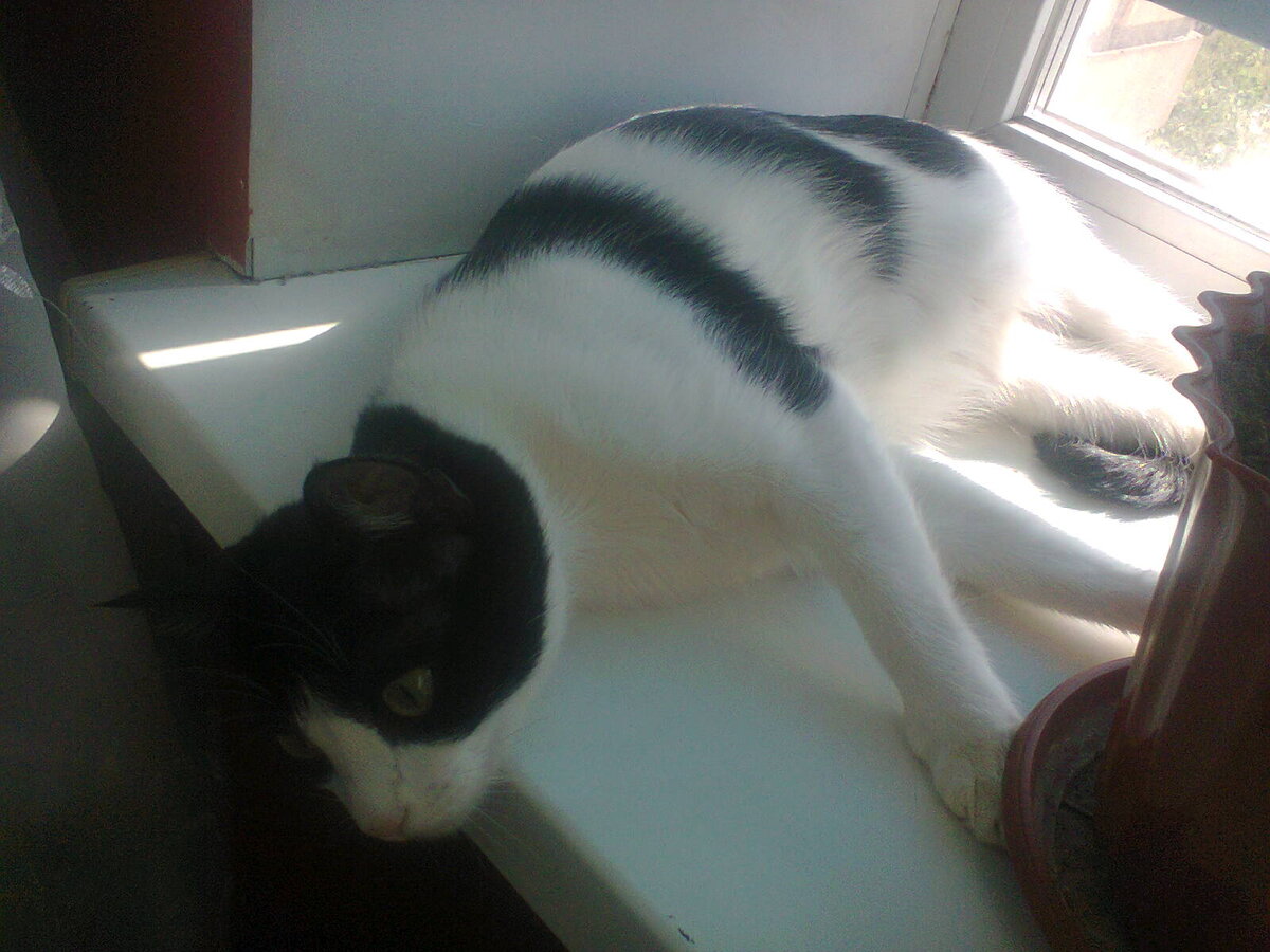 Фото автора