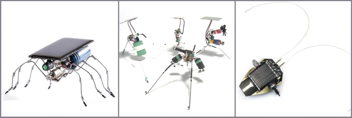 Примеры BEAM-роботов из интернета