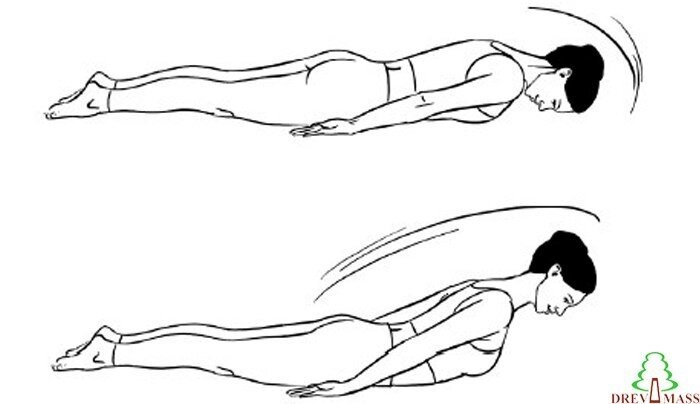 Подъём корпуса на животе