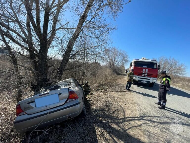    В Оренбурге в дачном поселке в ДТП погиб мужчина и пострадала женщина Белов Михаил Александрович