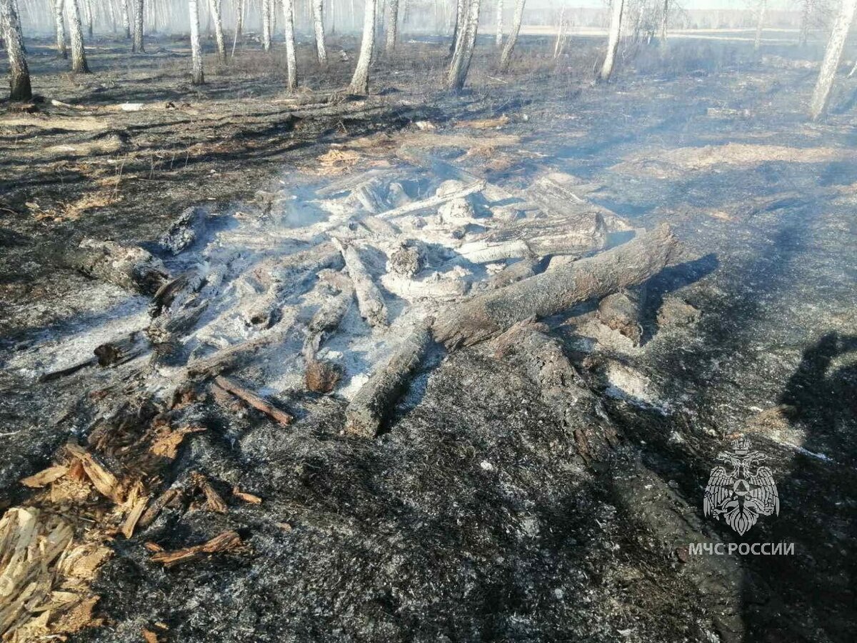 Фото: ГУ МЧС по Челябинской области