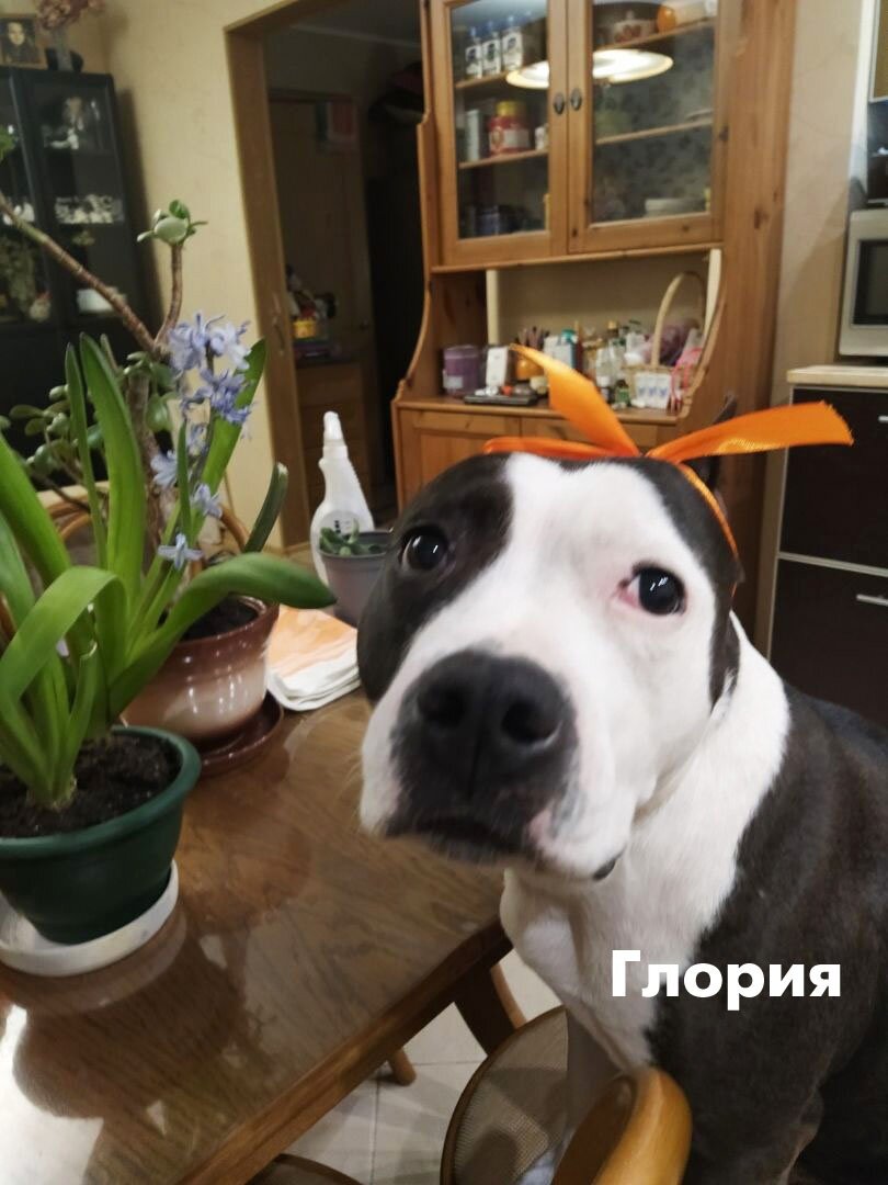 Я уже навела красоту и готова к понедельнику.