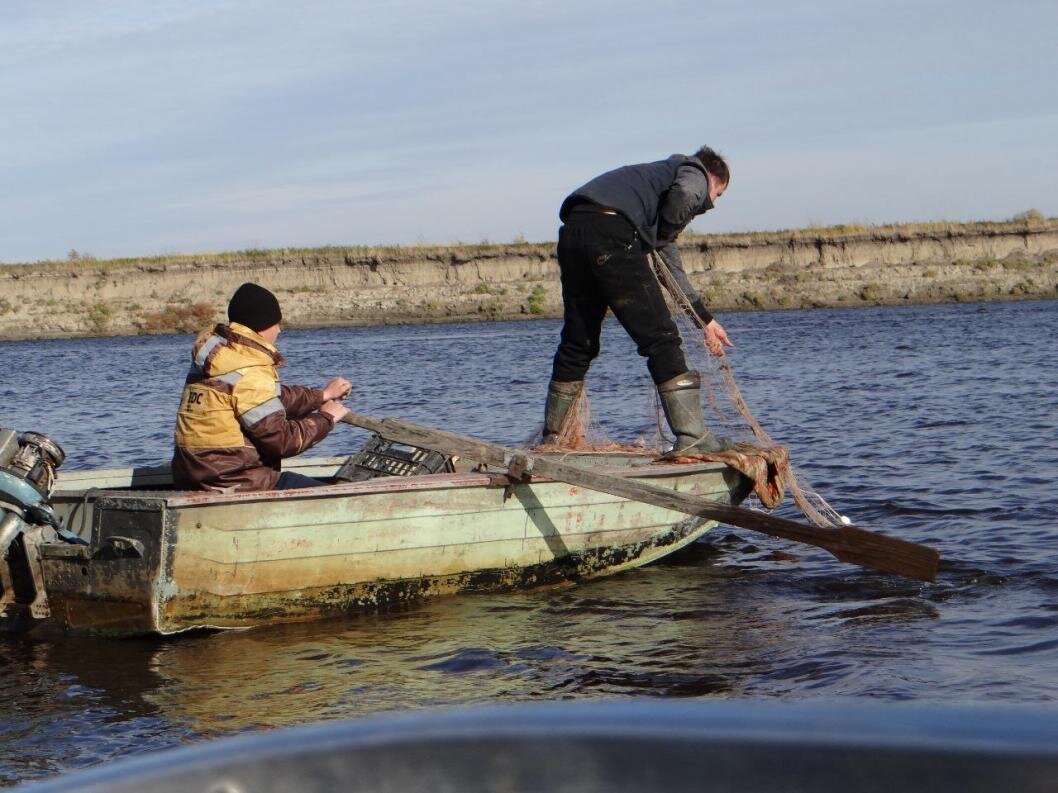 Рыбаки тюмени. Рыболовы. Фото рыбаков Тюмени. Версаль рыболовный отдел. В Тюменской области наступает запрет на вылов водных биоресурсов.