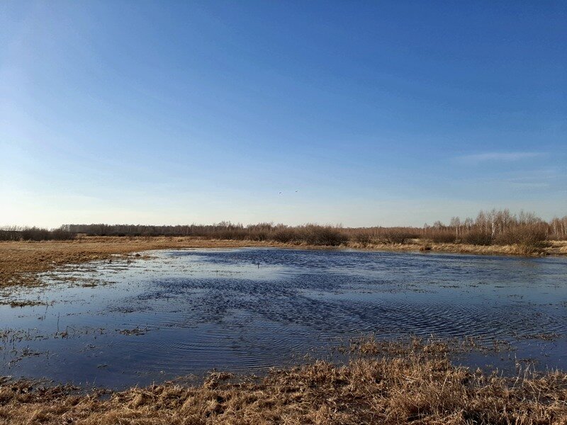 К завершению выезда, под солнечными лучами, земля оттаяла, но это помогло мало - поле превратилось в водоем.