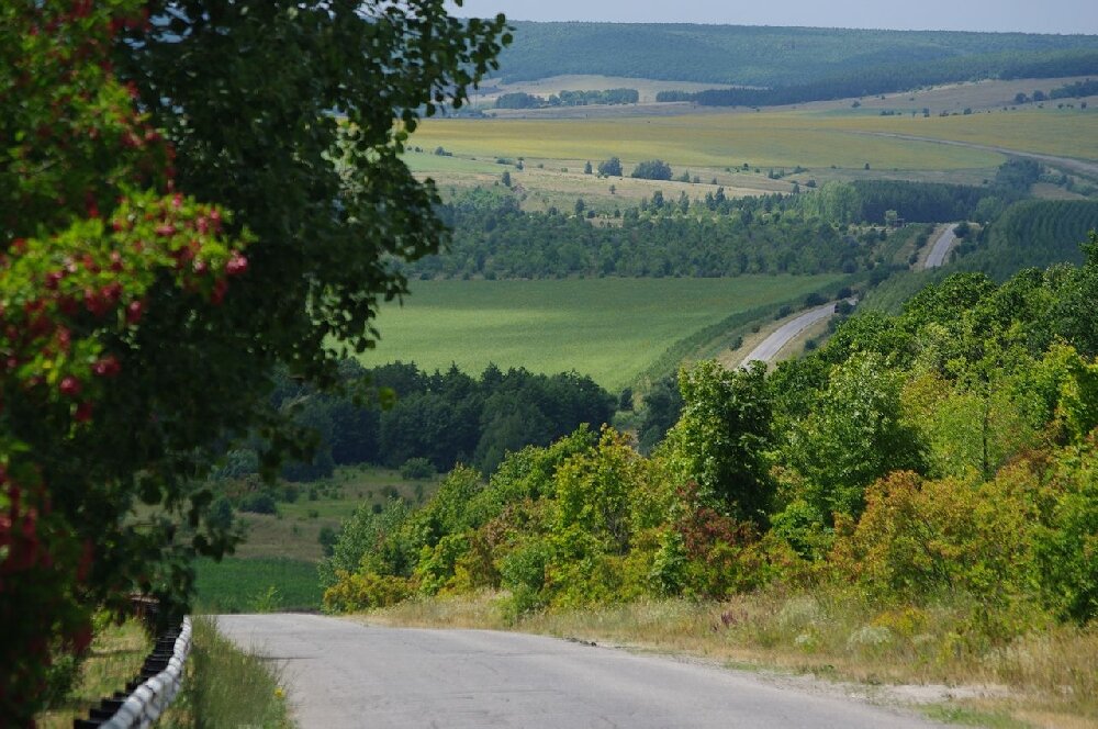 Саратовский край.