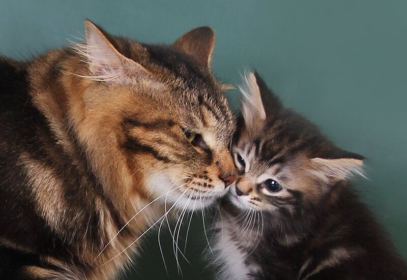 Фото из личного архива