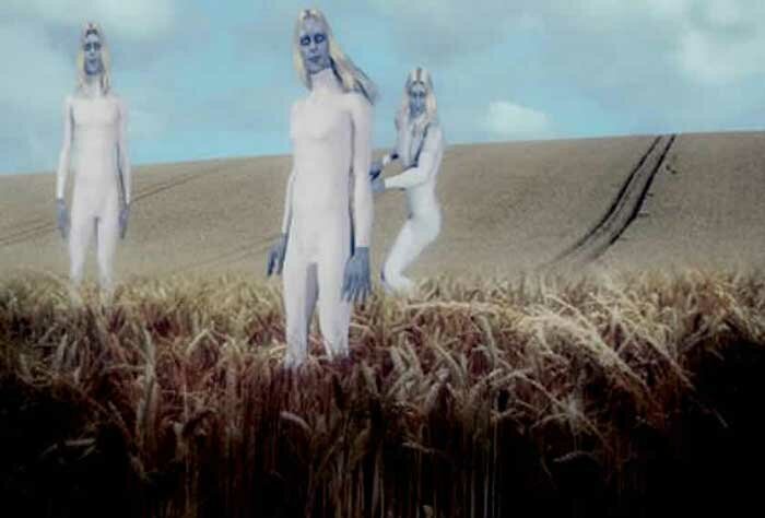 Добавьте описание