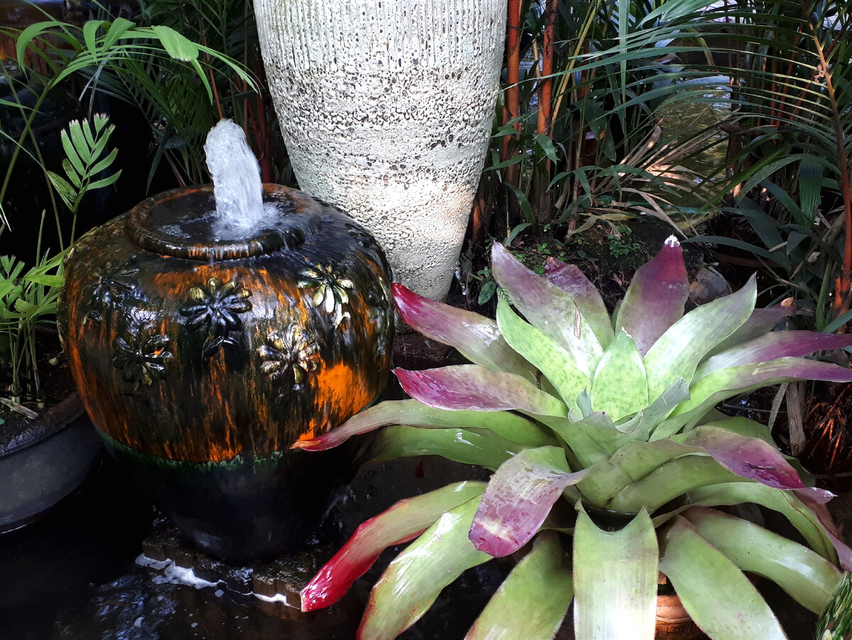 Фонтан и большая или малая розетка листьев - это точно пара в этом саду ☺️