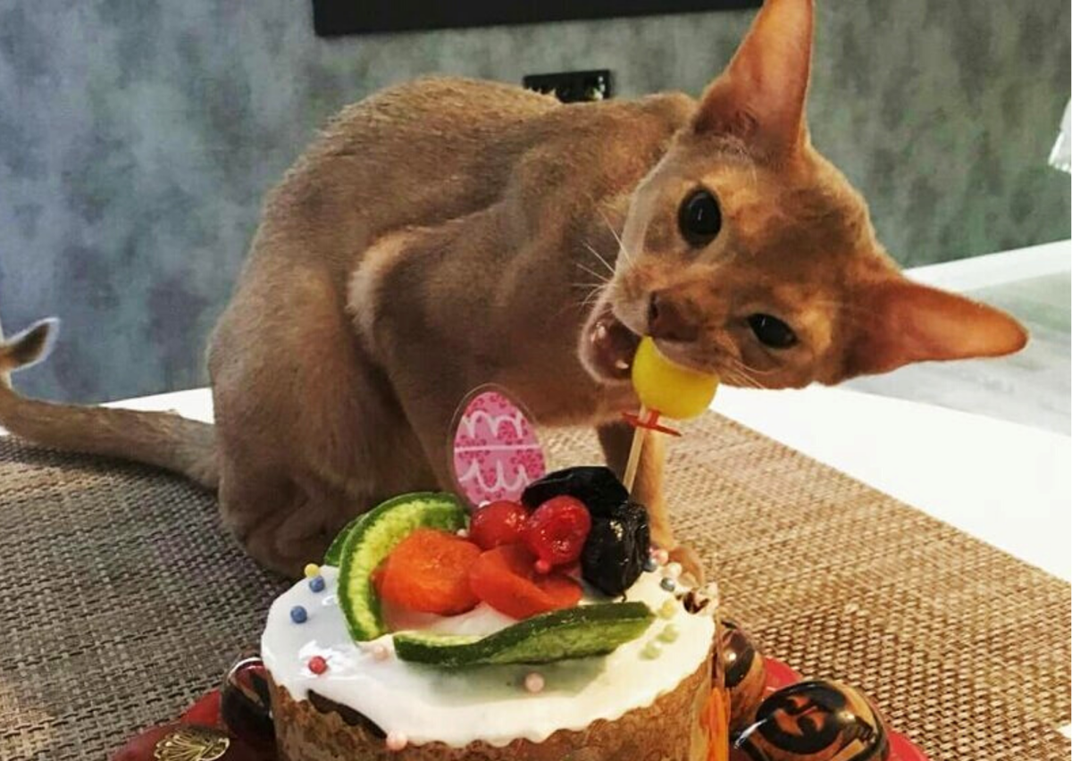 ���������� ������. ��������, ������� ���� �����. �������� ����: supersnimki.ru