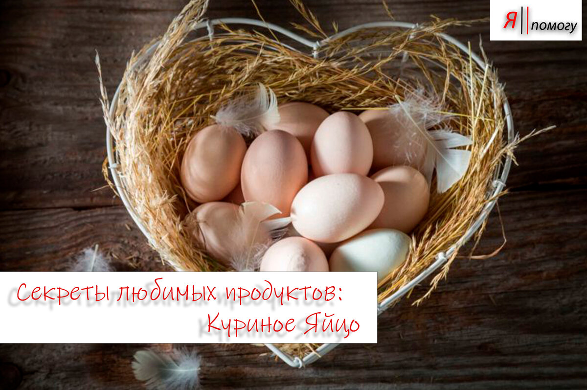 Секреты любимых продуктов: Куриное Яйцо. | Ангелина Бернгардт | Дзен