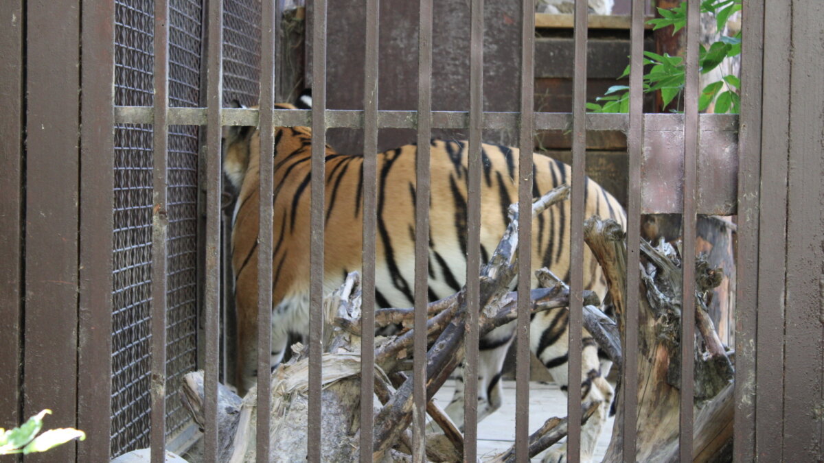 ИА SM News Екатеринбург📷
