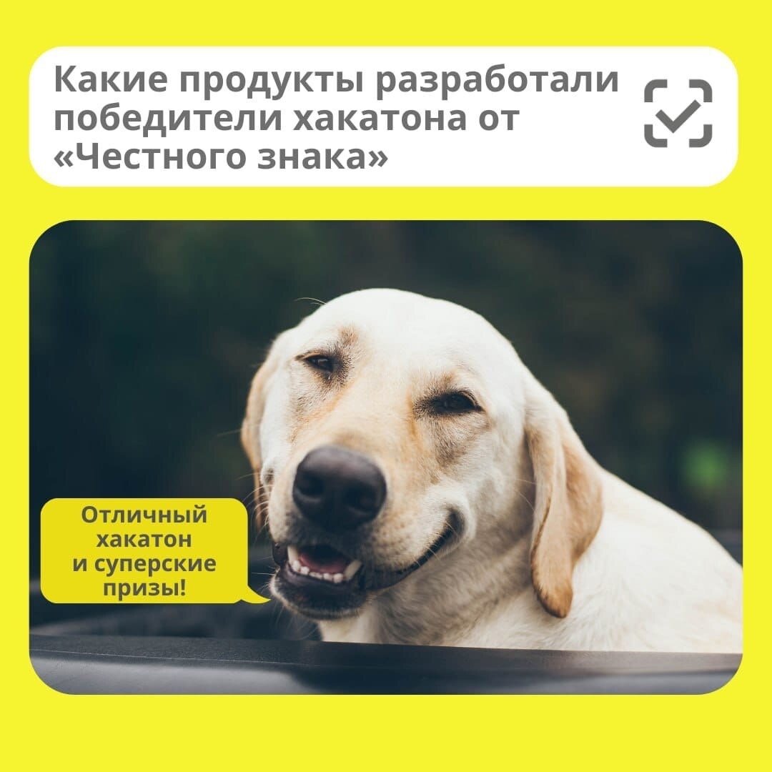 Завершился первый хакатон по созданию новых продуктов для бизнеса на основе больших массивов данных о товарах из системы маркировки