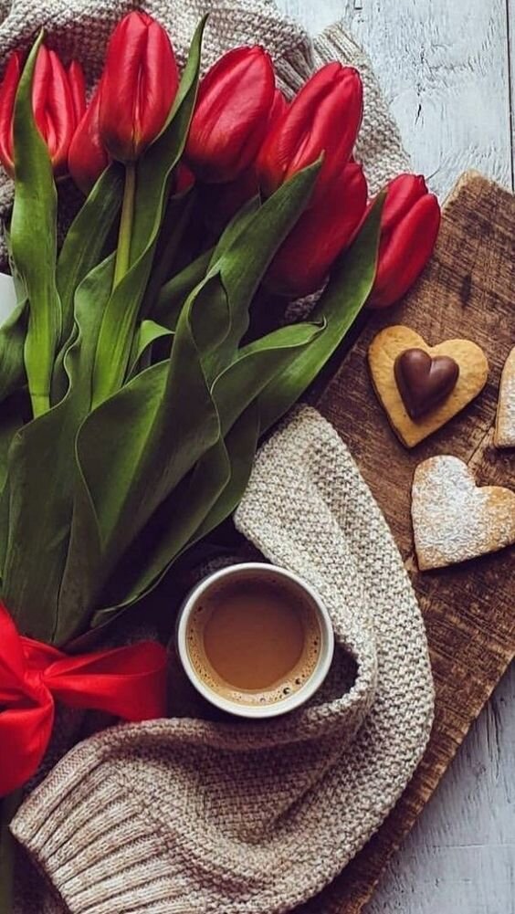 фото из интернета