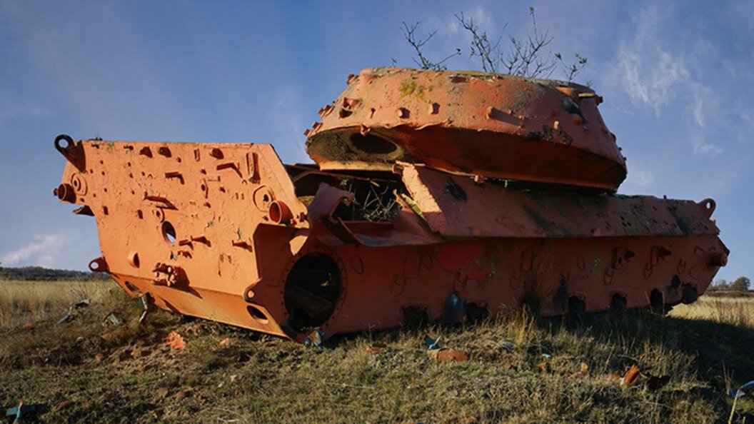 ФОТО:VOLKER HEIDE/ SHUTTERSTOCK.COM