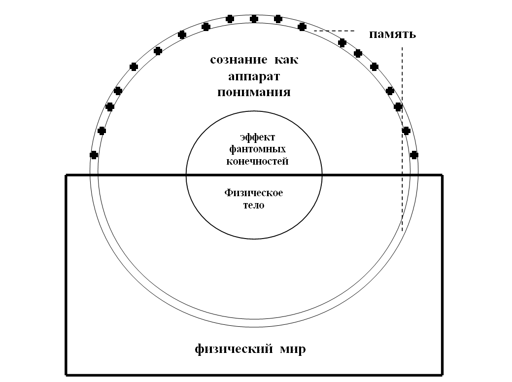 Рис.2 Смысловая модель сознания и психики по Агафонову А.Ю. (графическая интерпретация модели от Поносова С.В.)