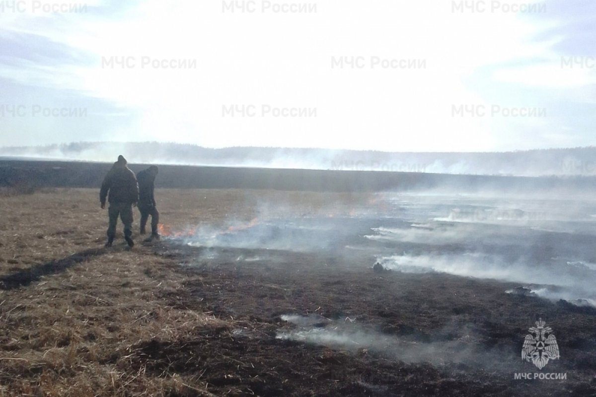    Виновника лесного пожара установили в Баяндаевском районе