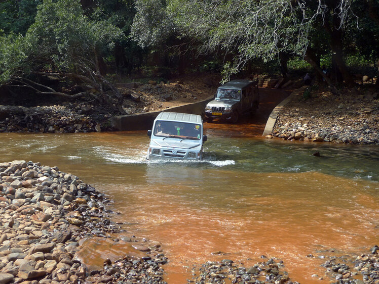     Фото Геннадий Черкасов/Московский комсомолец