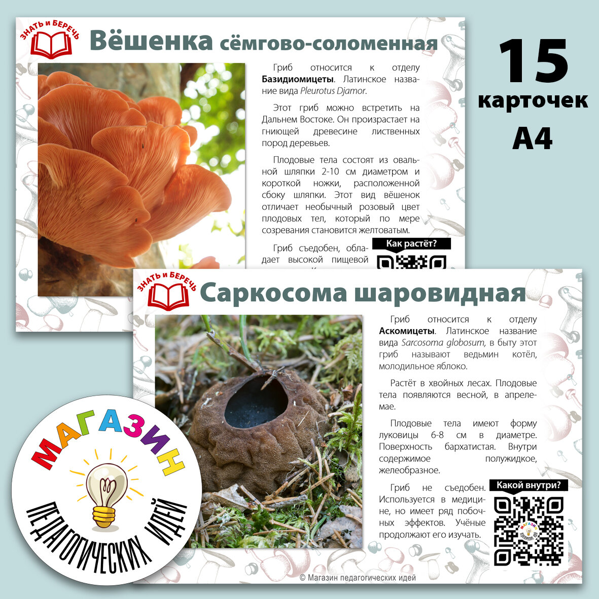 Пример карточек с видами краснокнижных грибов