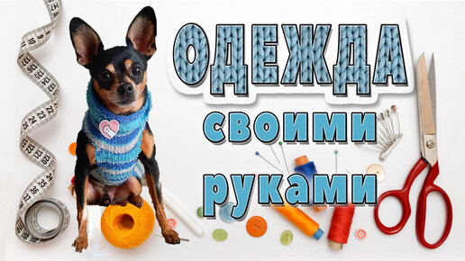 одежда для собаки из носка | Diy dog stuff, Dog clothes patterns, Dog clothes diy