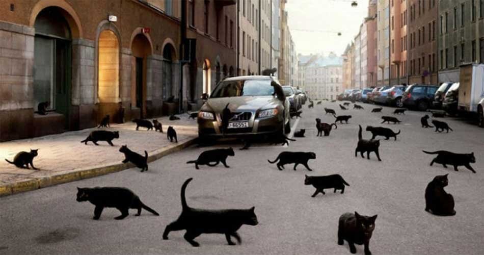 Мифы и суеверия разных народов - цифры и буквы