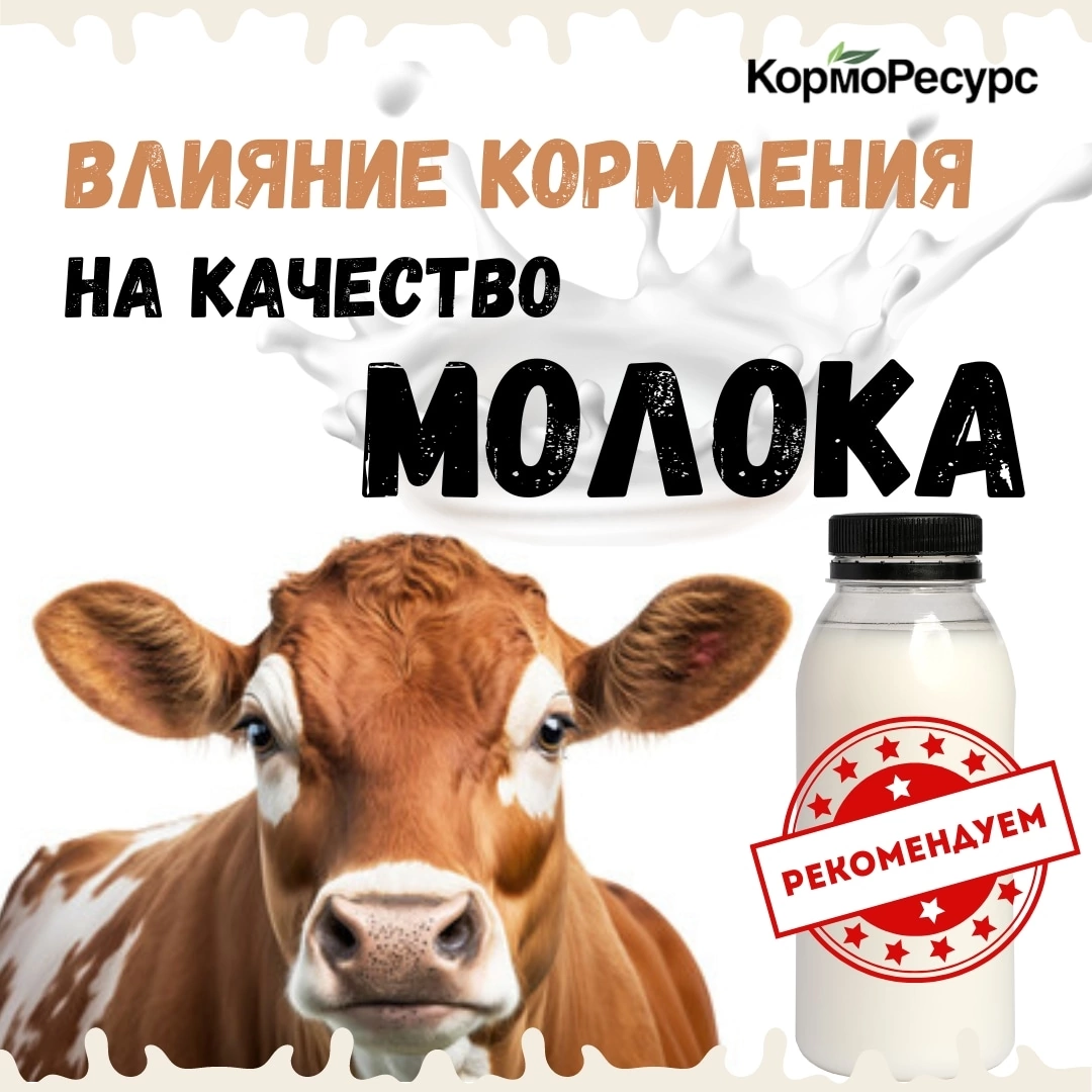 Влияние кормления на качество молока | КормоРесурс | Дзен