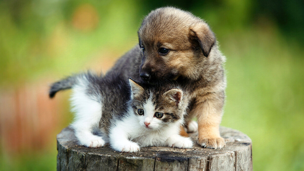 источник фото: chudo-prirody.com