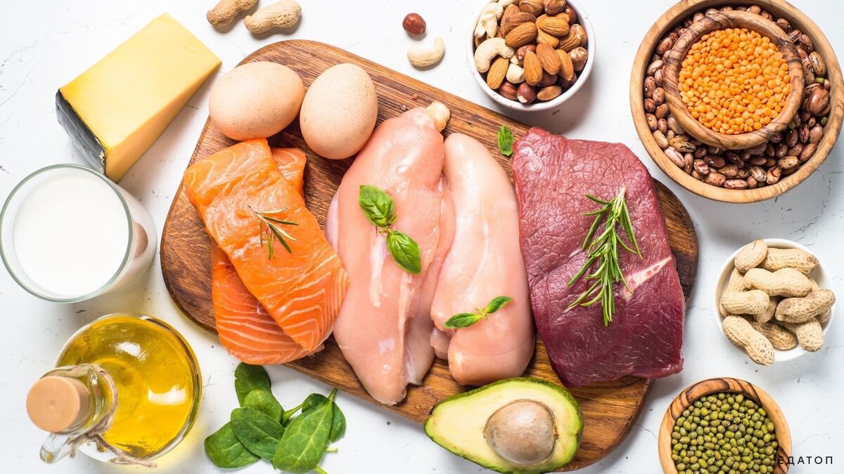 Белки, жиры и углеводы: что это такое, зачем они нужны и в каких продуктах находятся?